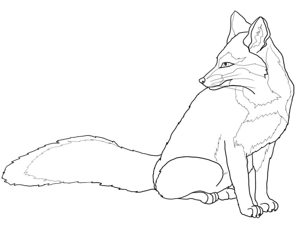 180+ Fox Coloring Pages 50