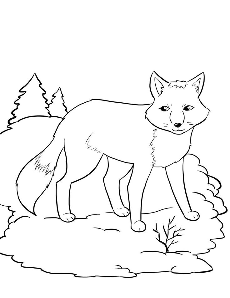 180+ Fox Coloring Pages 58