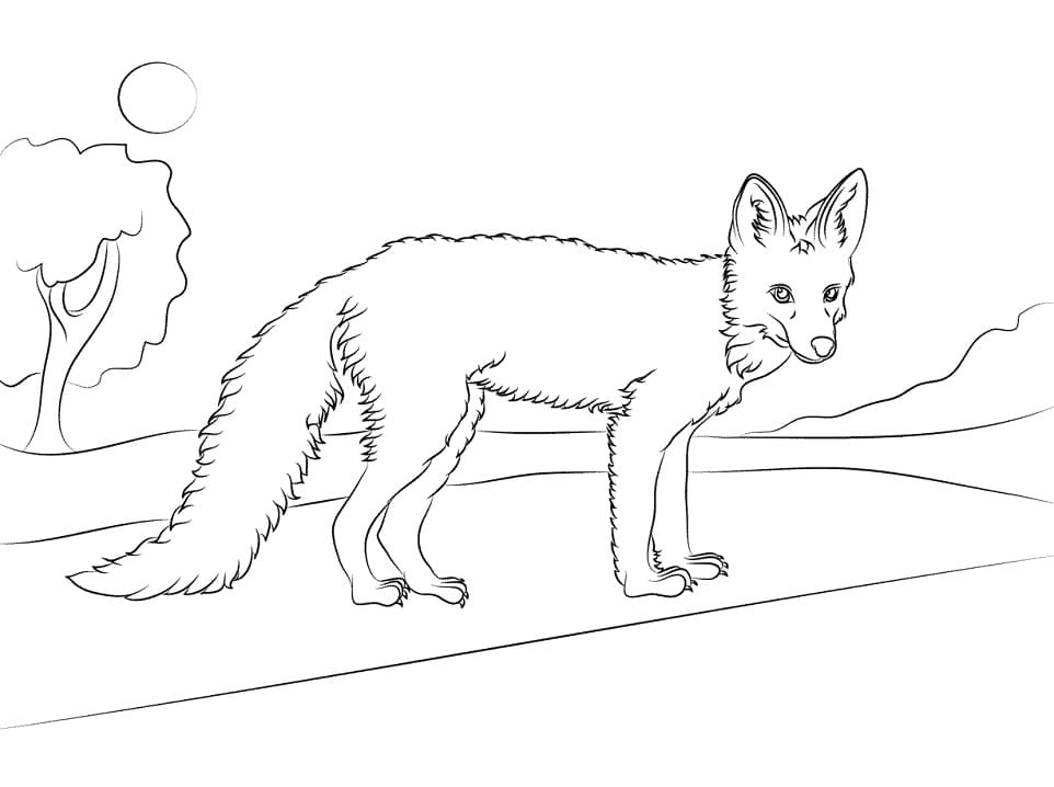 180+ Fox Coloring Pages 61