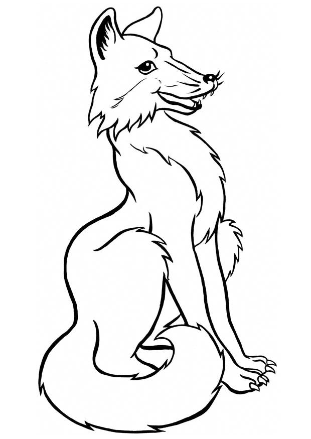 180+ Fox Coloring Pages 72