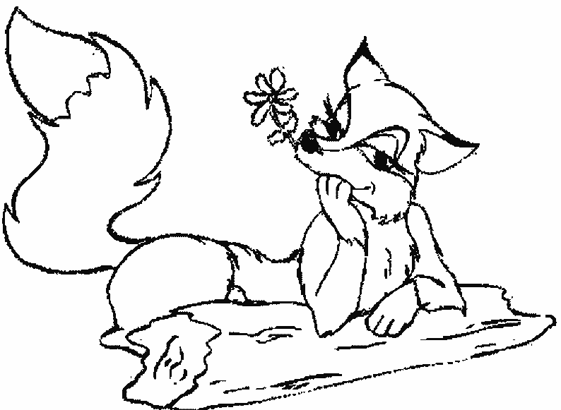 180+ Fox Coloring Pages 87