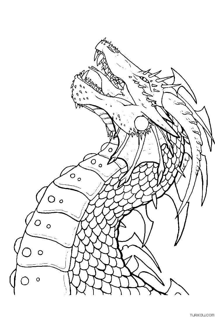 200+ Coloring Page Dragon: Fire Up Your Creativity 184