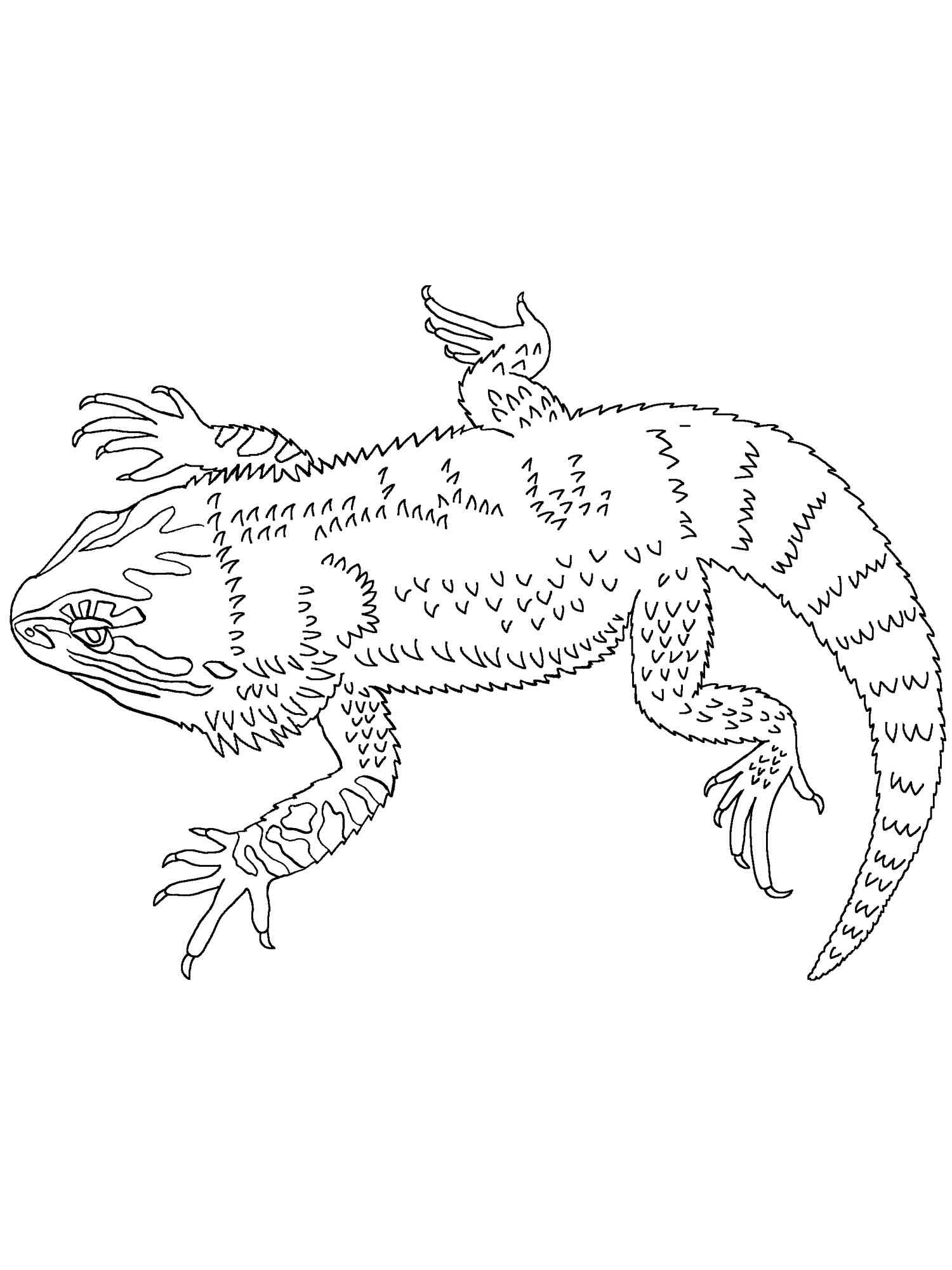 200+ Coloring Page Dragon: Fire Up Your Creativity 49