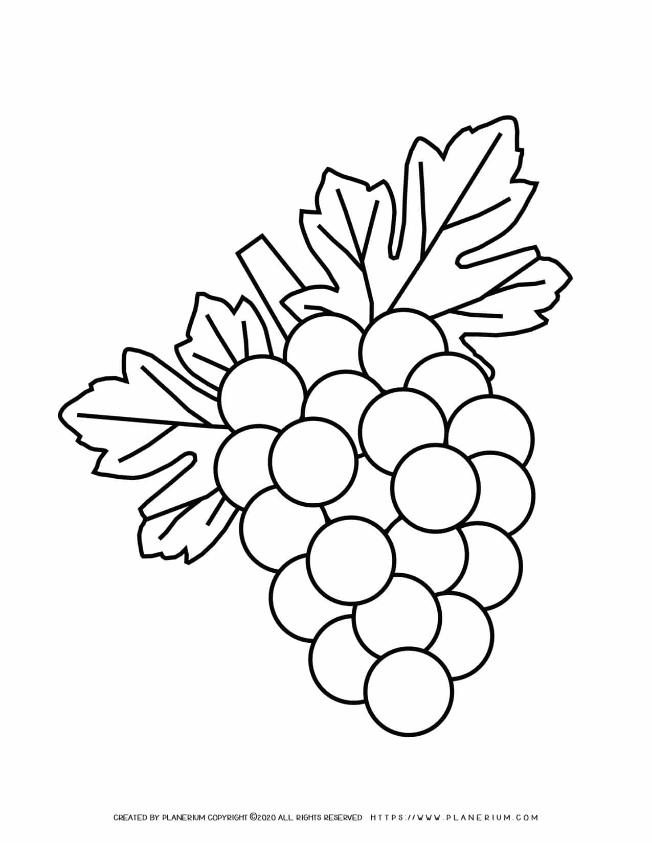 110 Summer Fruits Coloring Pages Free Printable 102