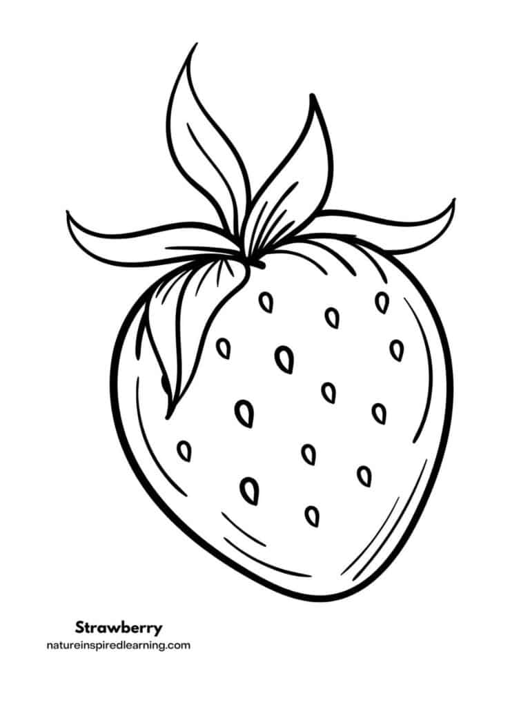 110 Summer Fruits Coloring Pages Free Printable 53