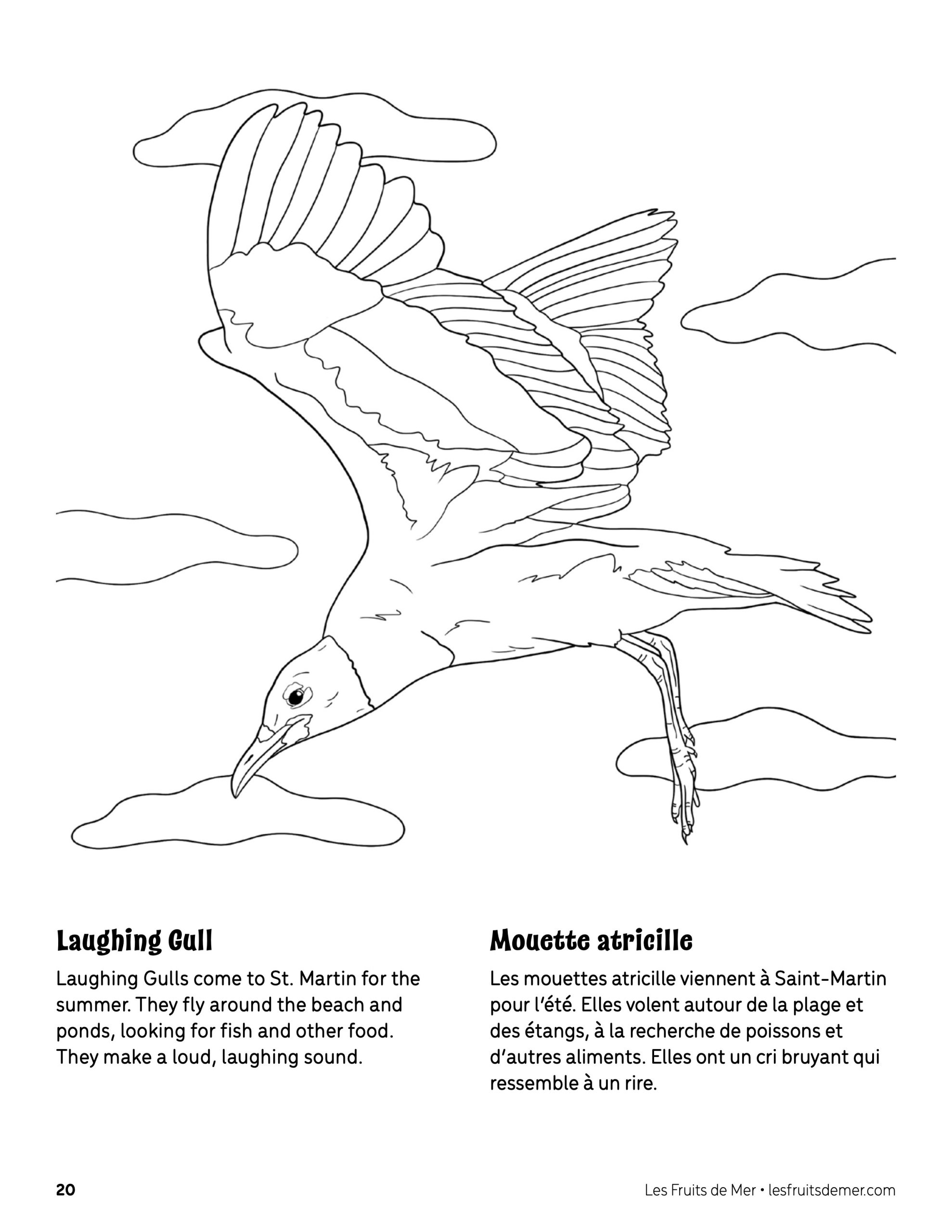 110 Summer Fruits Coloring Pages Free Printable 80