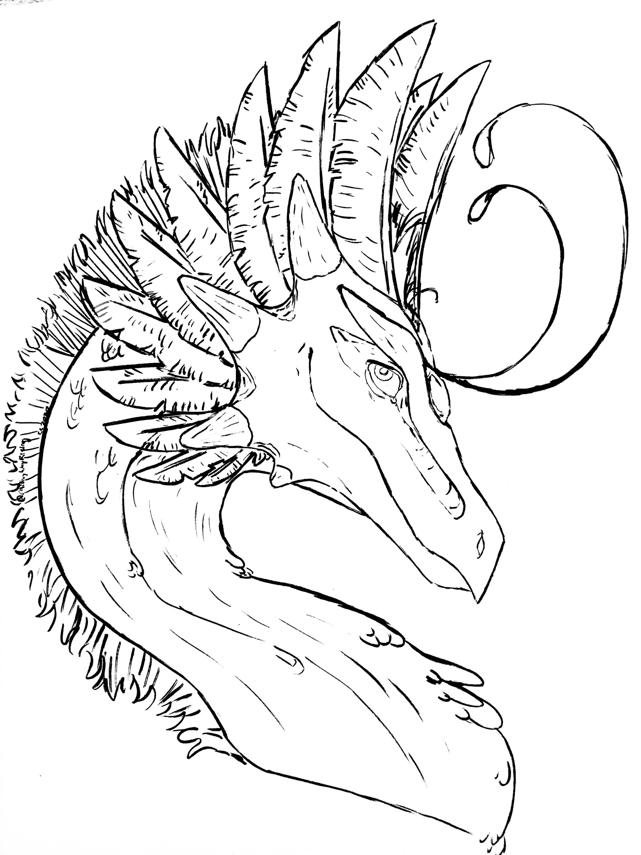 120+ Wings of Fire Coloring Pages 39