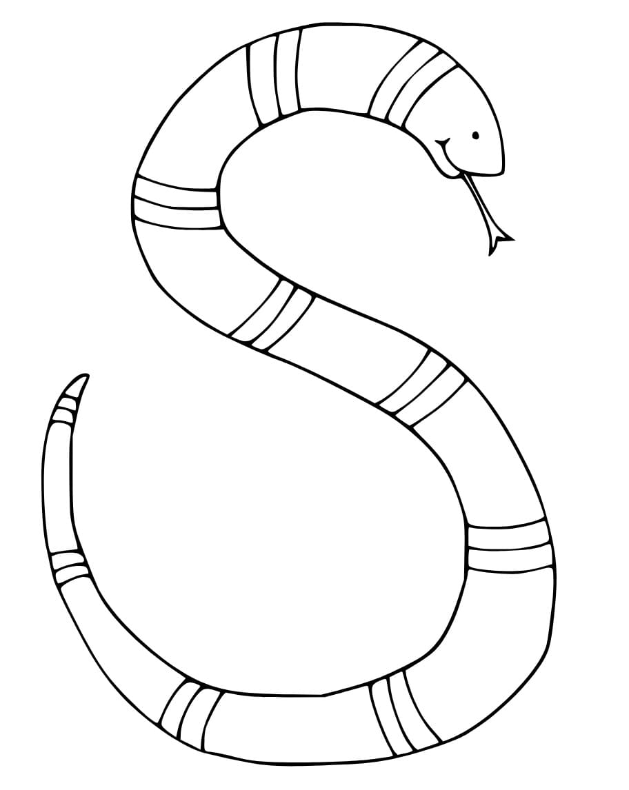 141 Free Walrus Coloring Pages For Kids Printable 105