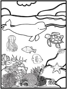 141 Free Walrus Coloring Pages For Kids Printable 121