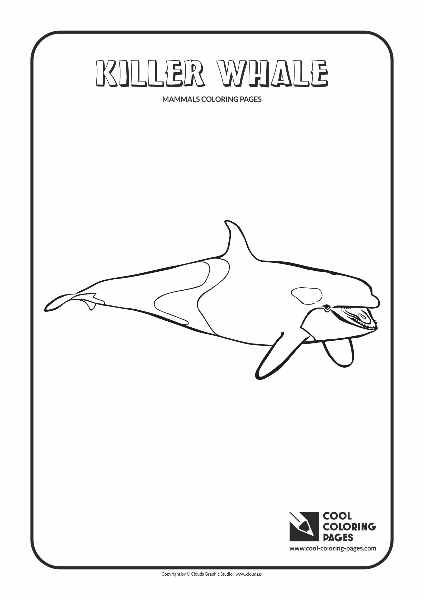 141 Free Walrus Coloring Pages For Kids Printable 123