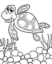 141 Free Walrus Coloring Pages For Kids Printable 133