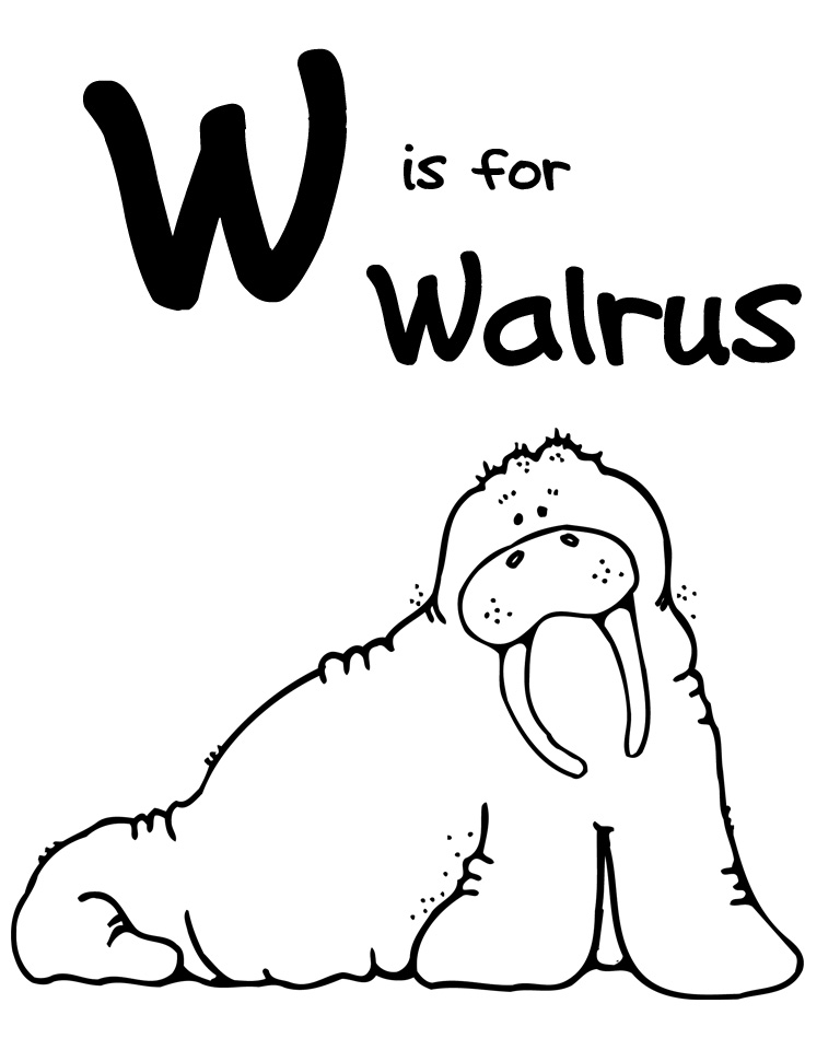 141 Free Walrus Coloring Pages For Kids Printable 15