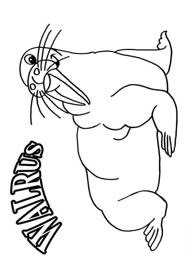 141 Free Walrus Coloring Pages For Kids Printable 24