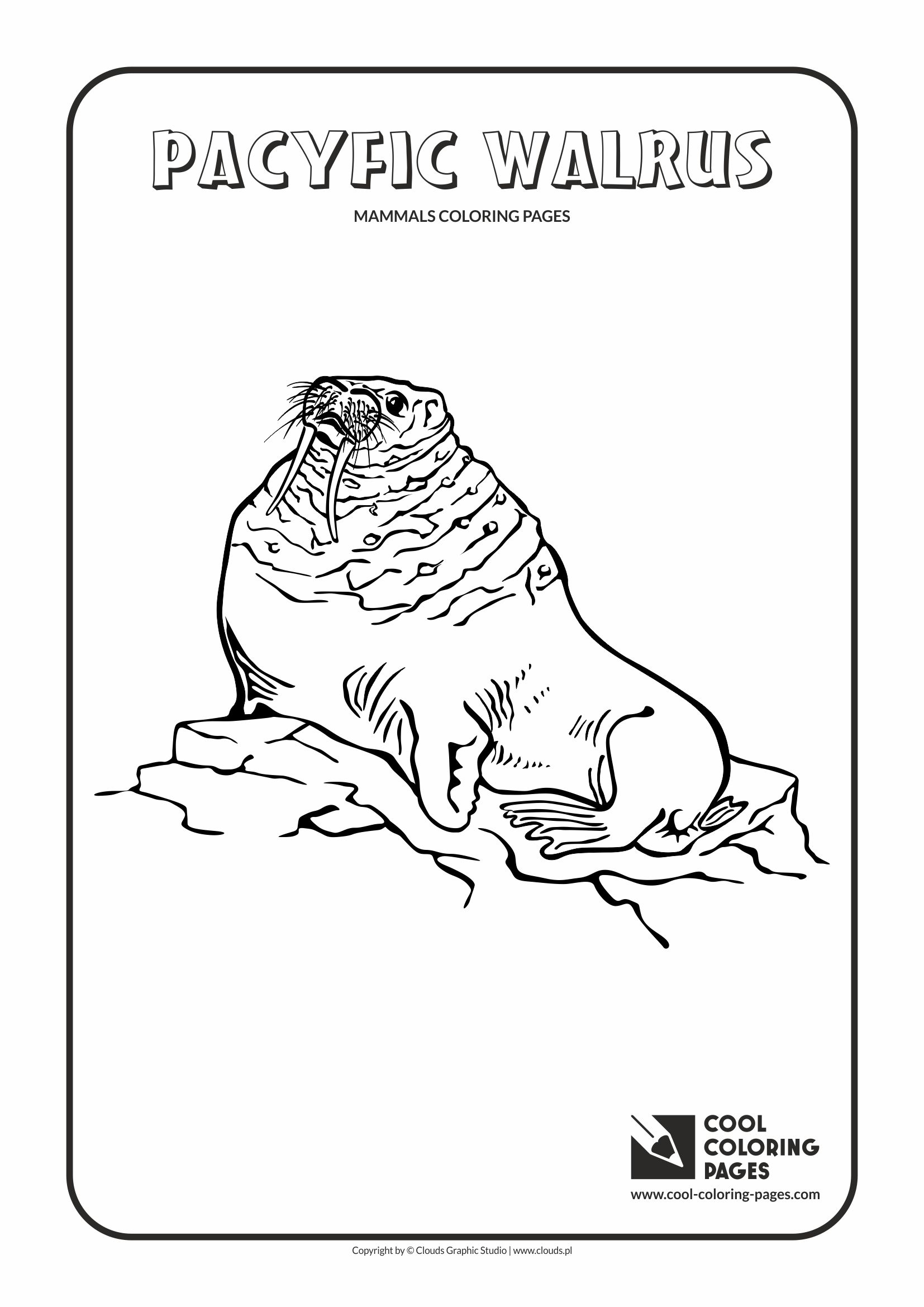 141 Free Walrus Coloring Pages For Kids Printable 31