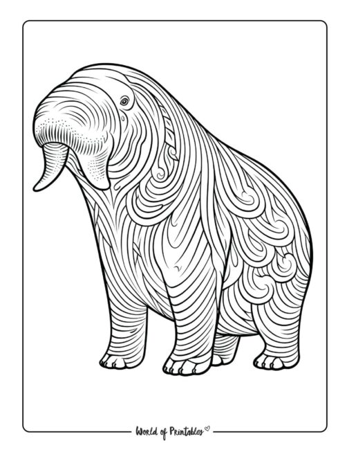 141 Free Walrus Coloring Pages For Kids Printable 35