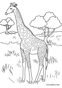 141 Free Walrus Coloring Pages For Kids Printable 47