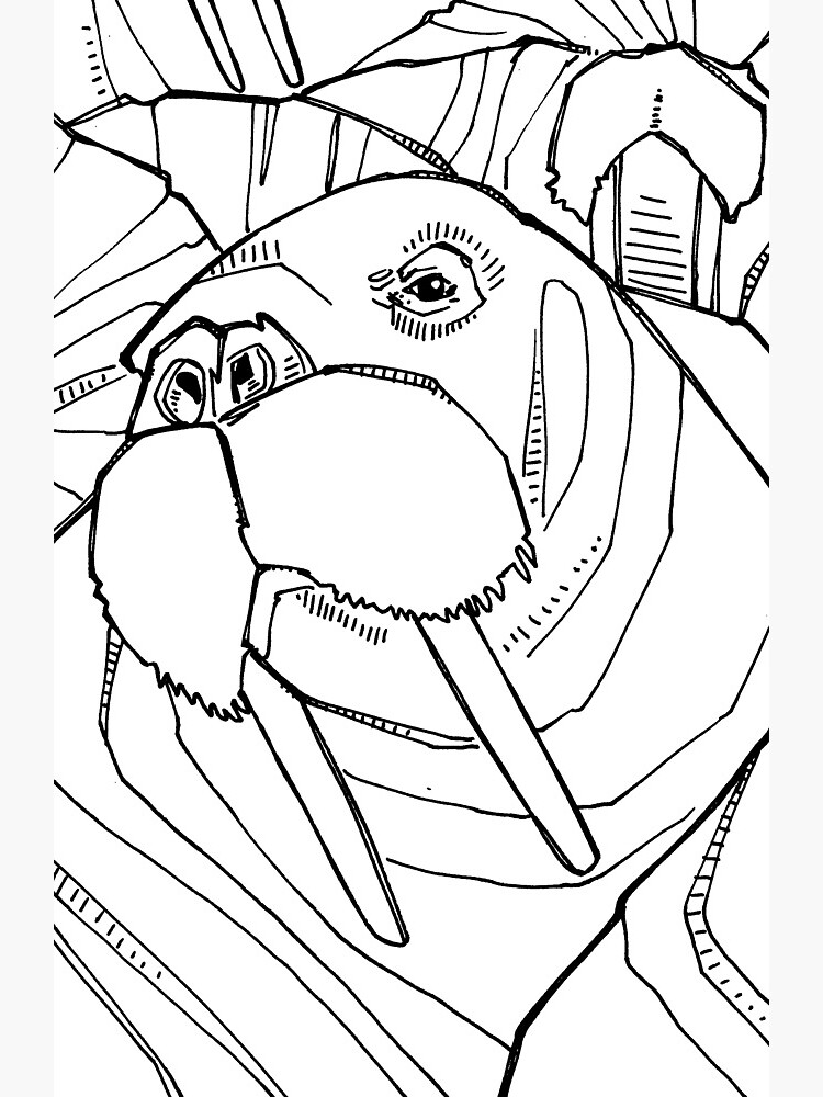 141 Free Walrus Coloring Pages For Kids Printable 54