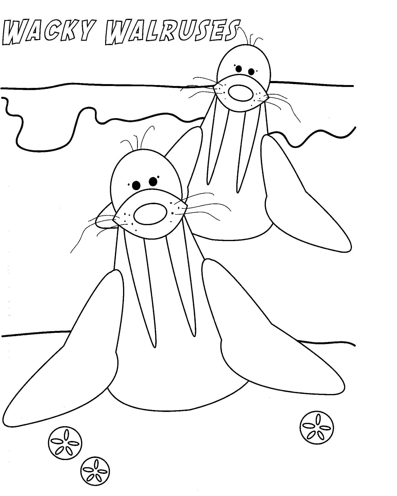 141 Free Walrus Coloring Pages For Kids Printable 61