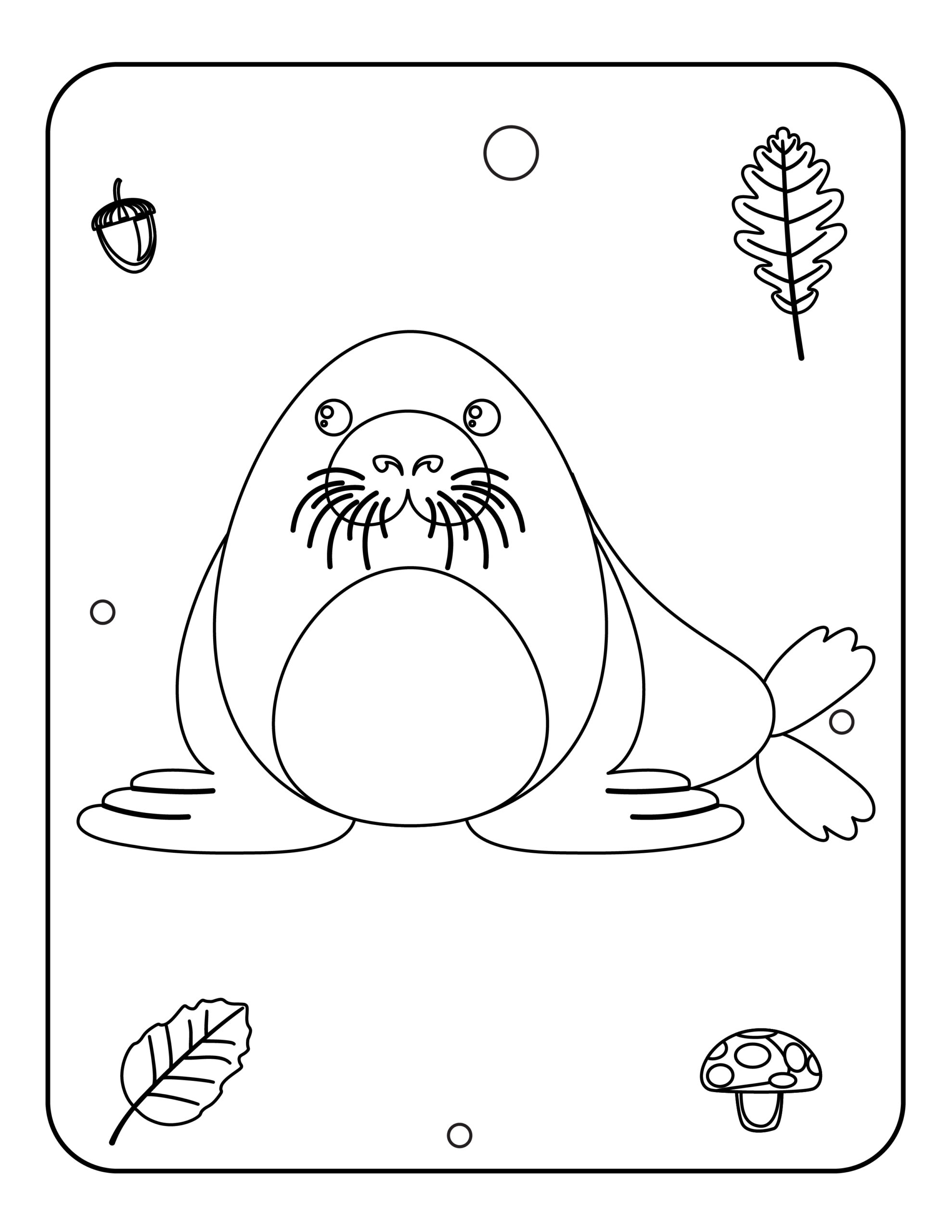 141 Free Walrus Coloring Pages For Kids Printable 71