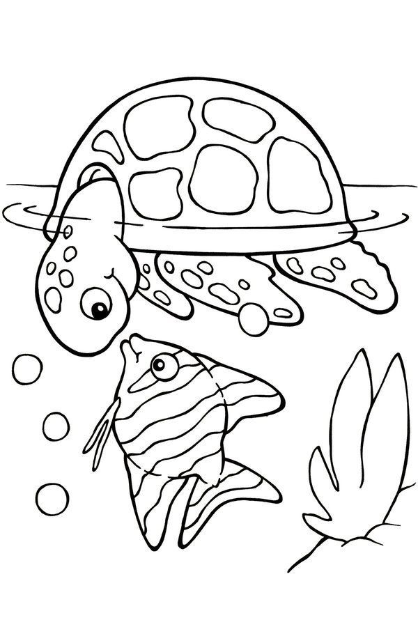 141 Free Walrus Coloring Pages For Kids Printable 82