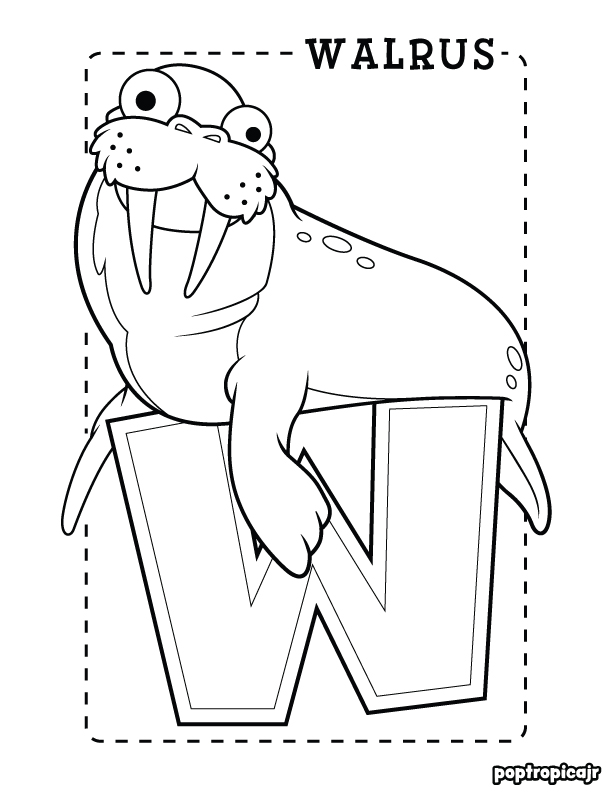 141 Free Walrus Coloring Pages For Kids Printable 84