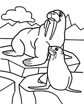 141 Free Walrus Coloring Pages For Kids Printable 87