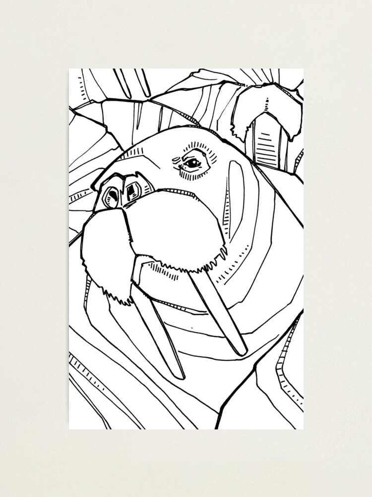 141 Free Walrus Coloring Pages For Kids Printable 89