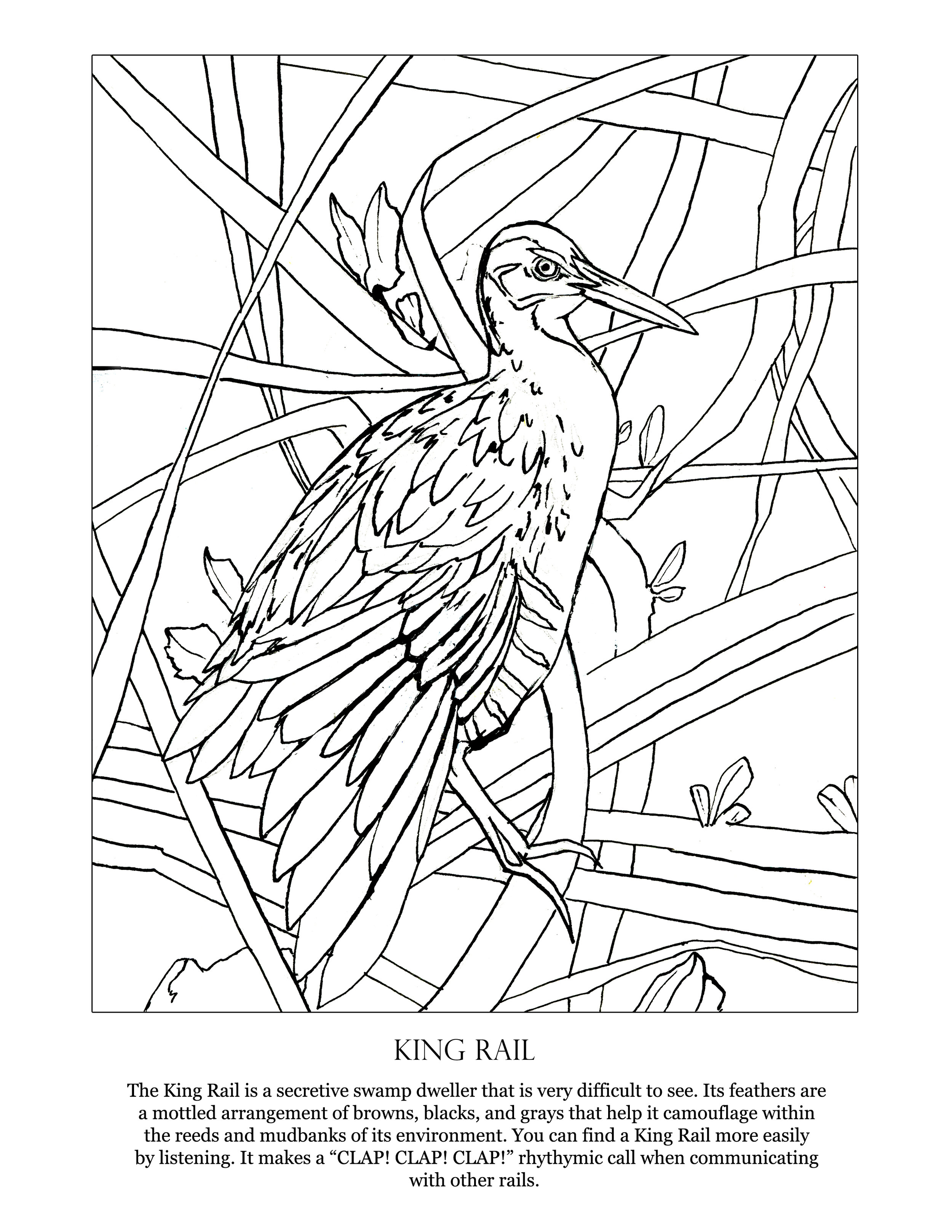 145 Coloring Pages that You Can Print for Free 27