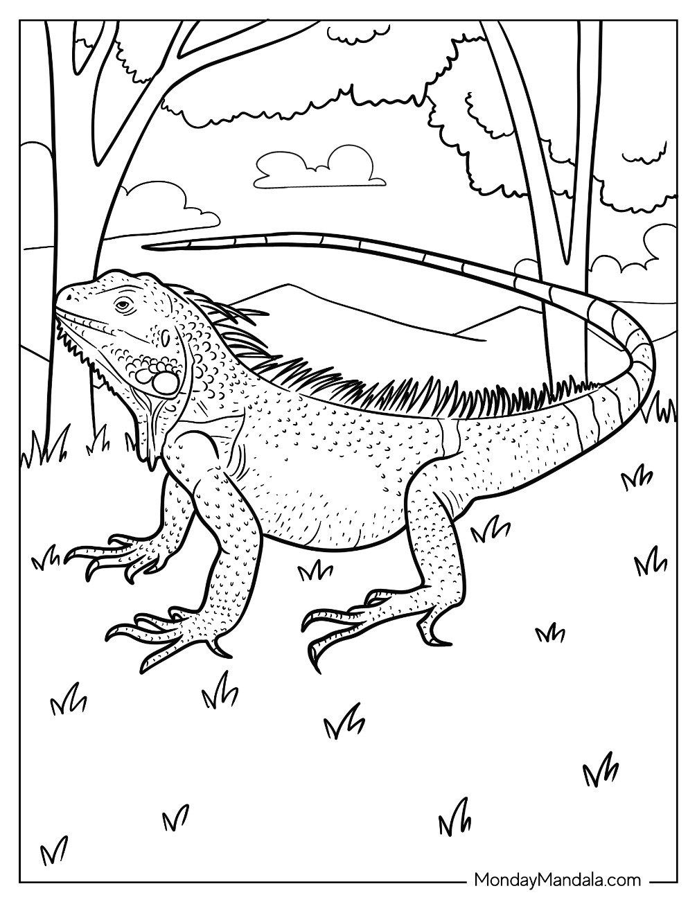 170+ Lizard Coloring Page Designs 104