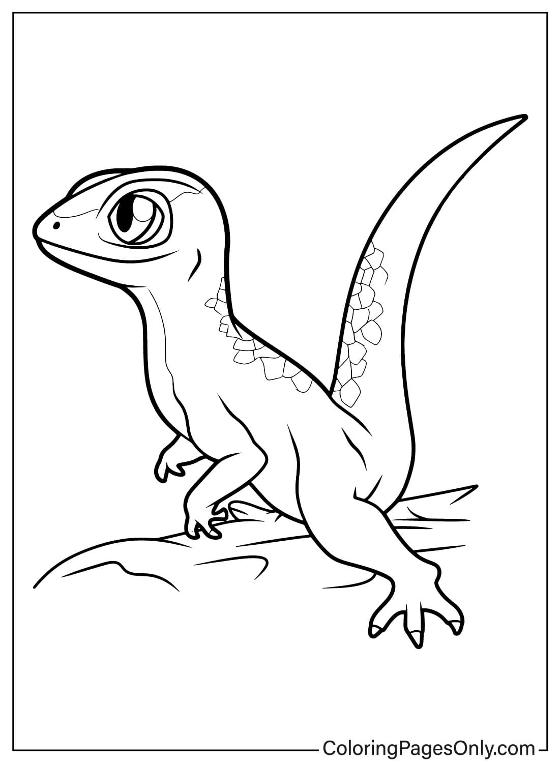 170+ Lizard Coloring Page Designs 106