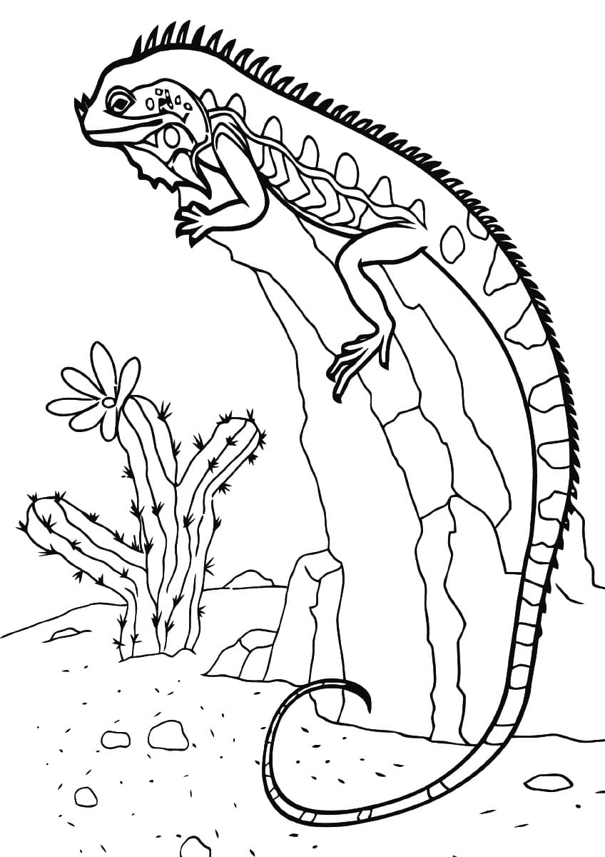 170+ Lizard Coloring Page Designs 109