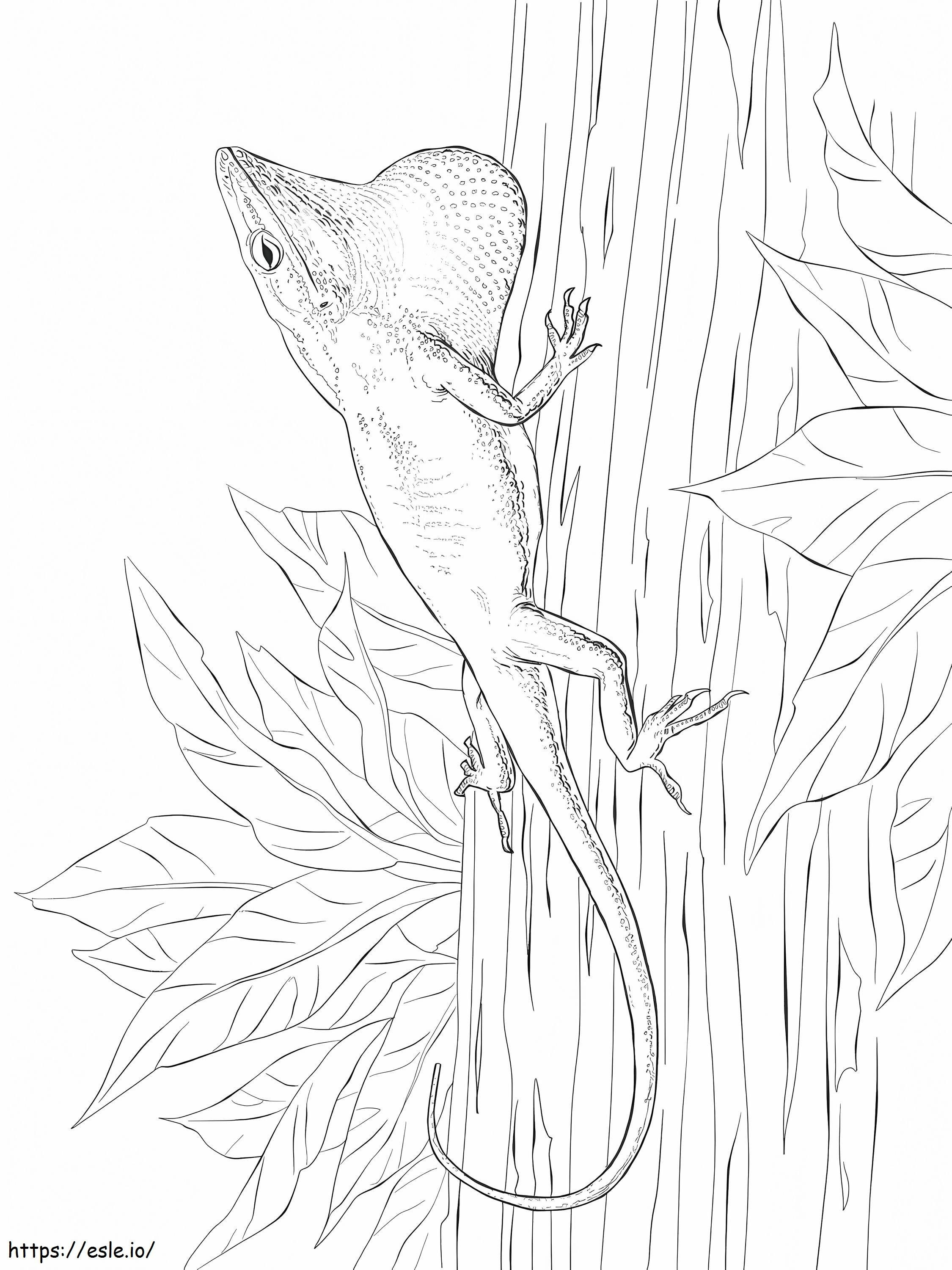 170+ Lizard Coloring Page Designs 110