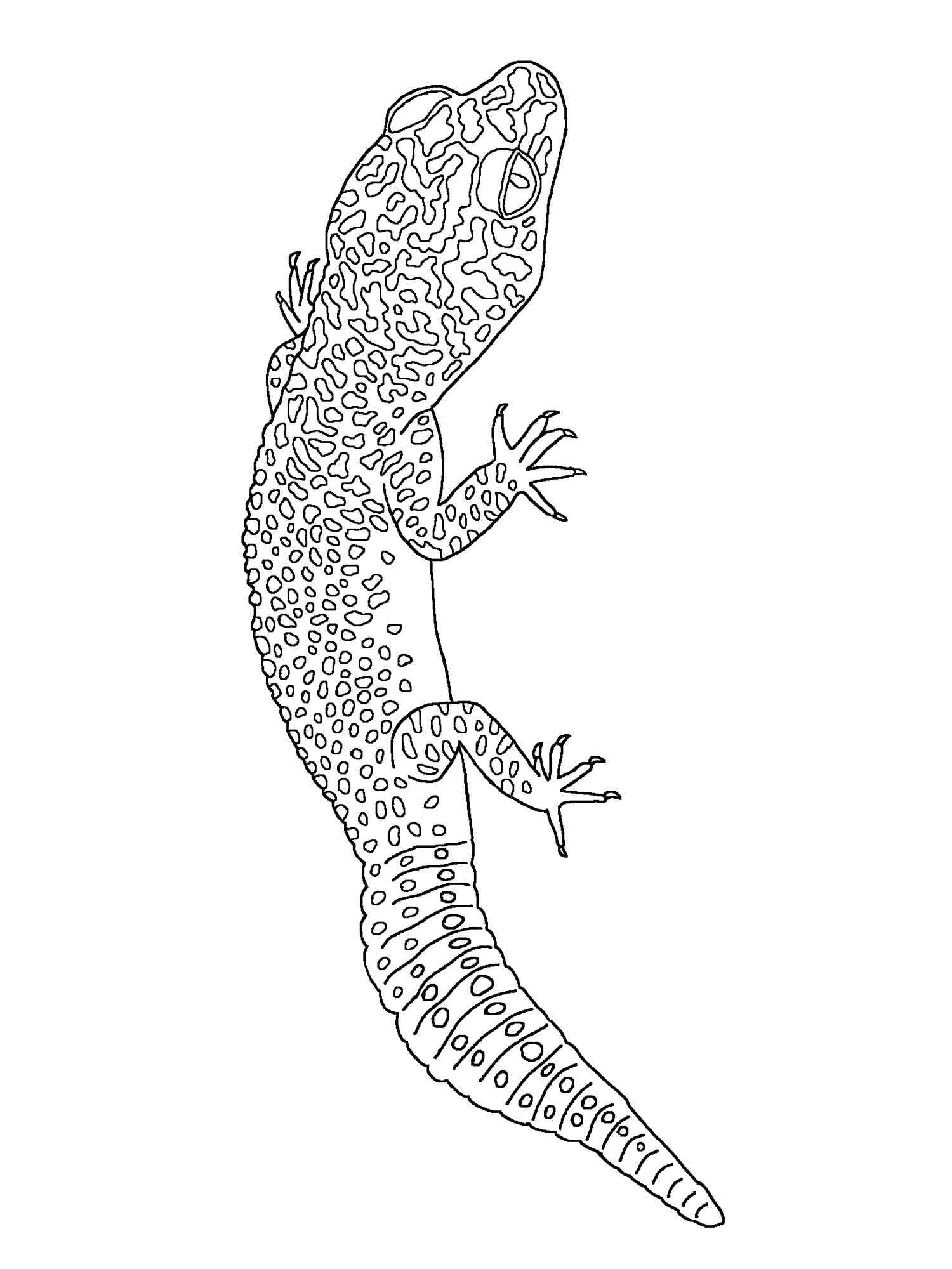 170+ Lizard Coloring Page Designs 122