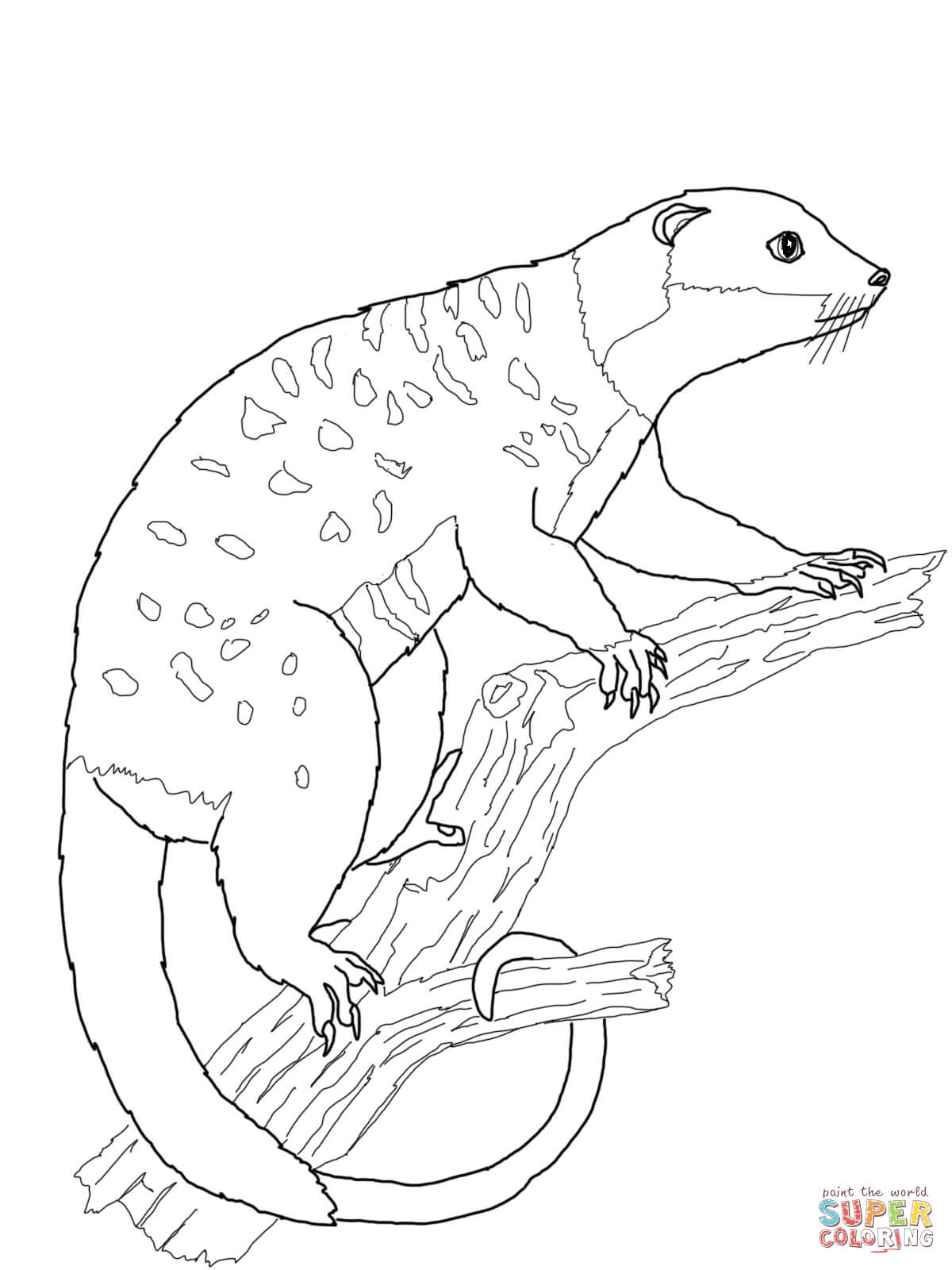 170+ Lizard Coloring Page Designs 127