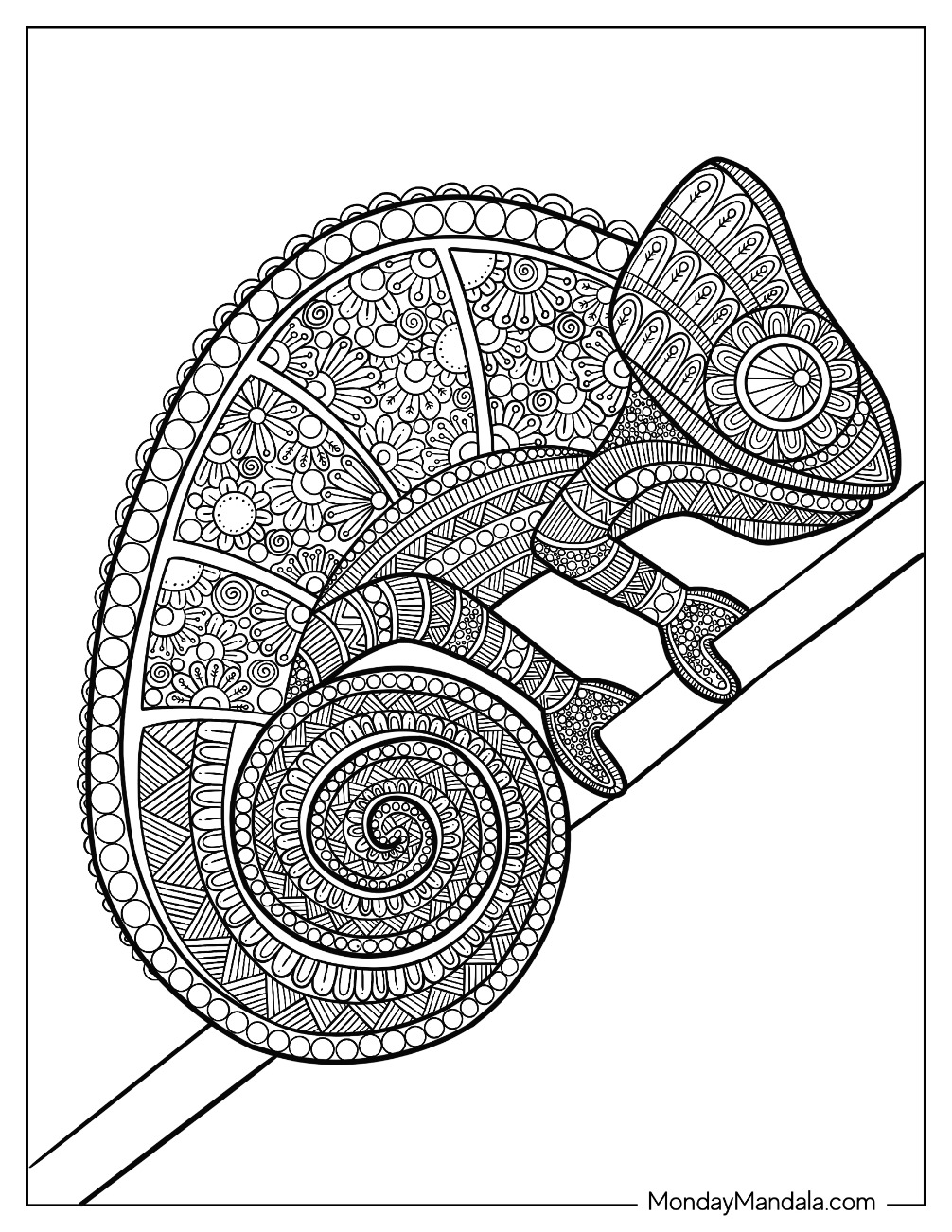 170+ Lizard Coloring Page Designs 128