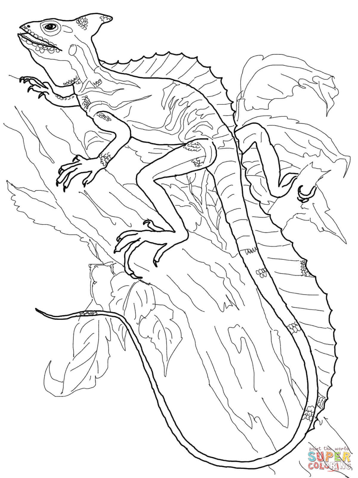 170+ Lizard Coloring Page Designs 13