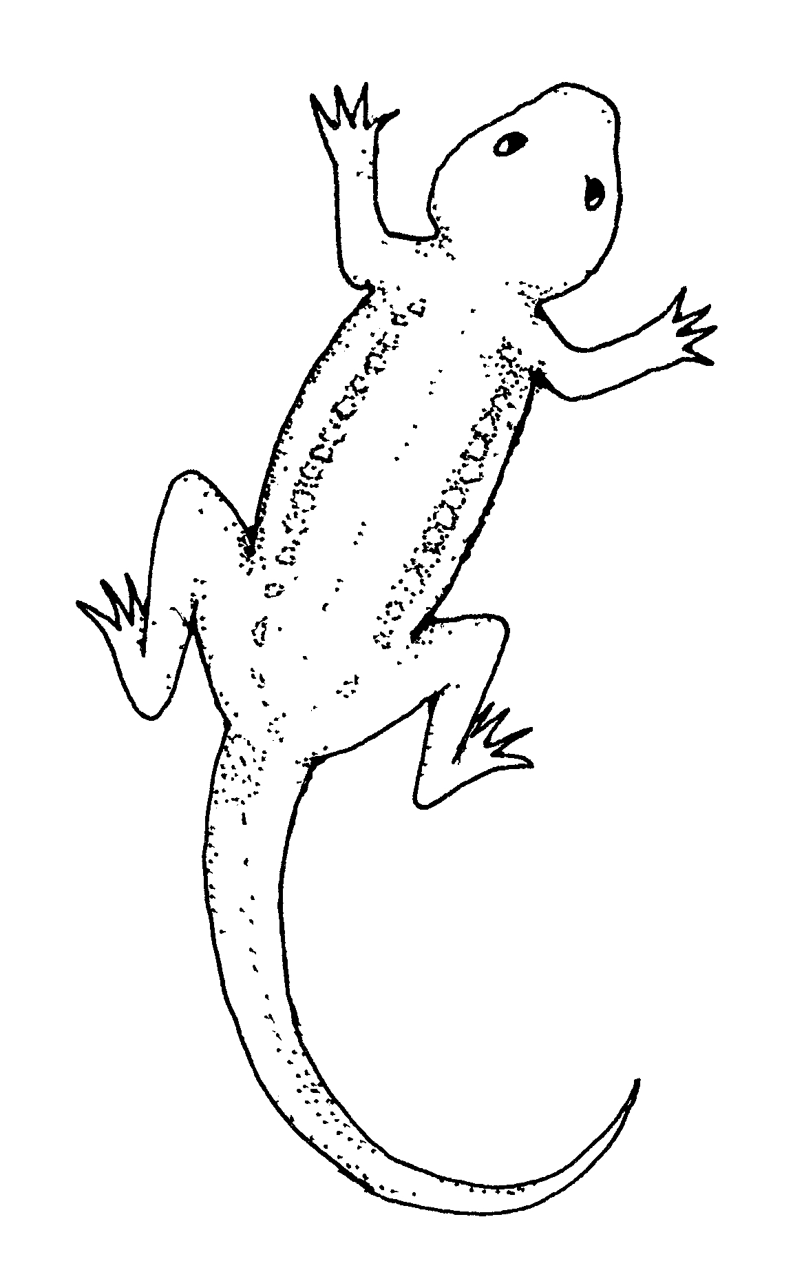 170+ Lizard Coloring Page Designs 138