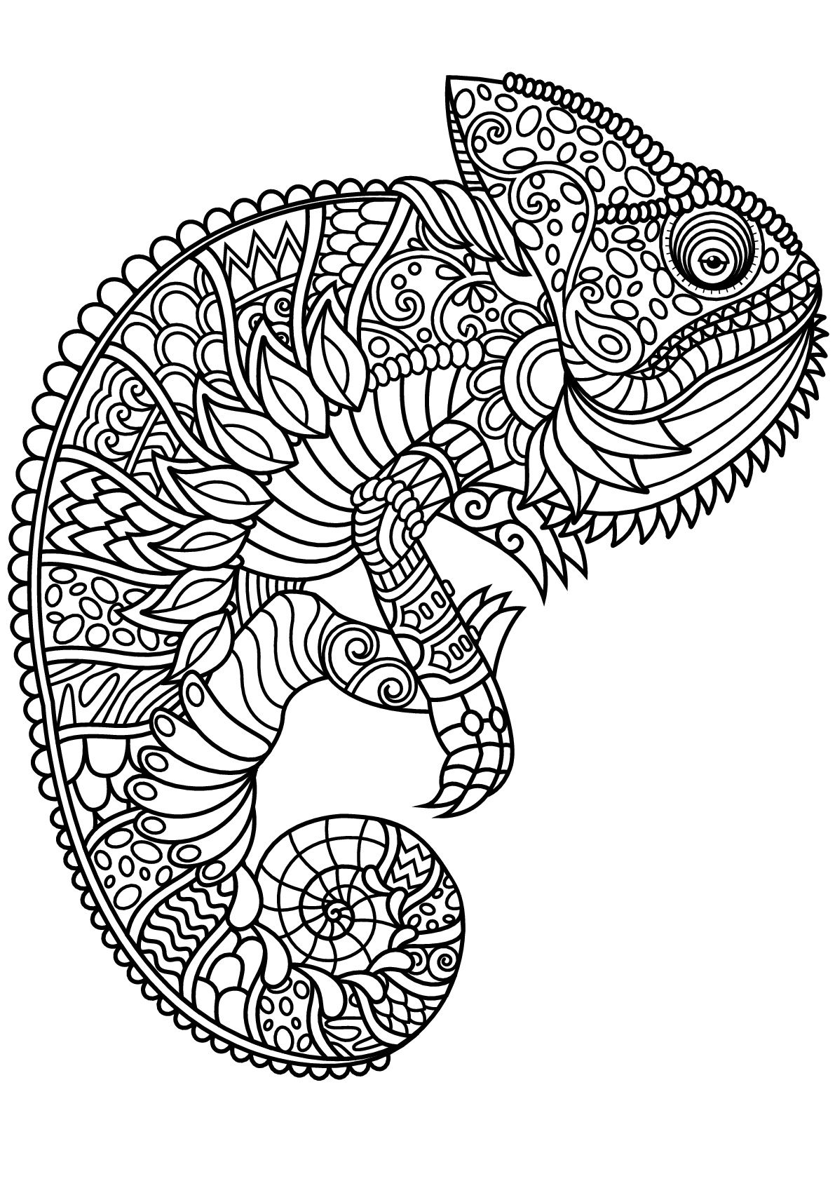 170+ Lizard Coloring Page Designs 15