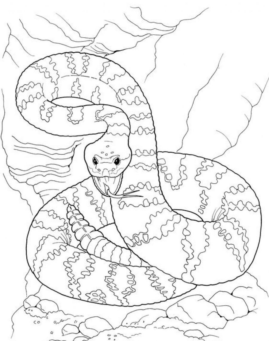 170+ Lizard Coloring Page Designs 156