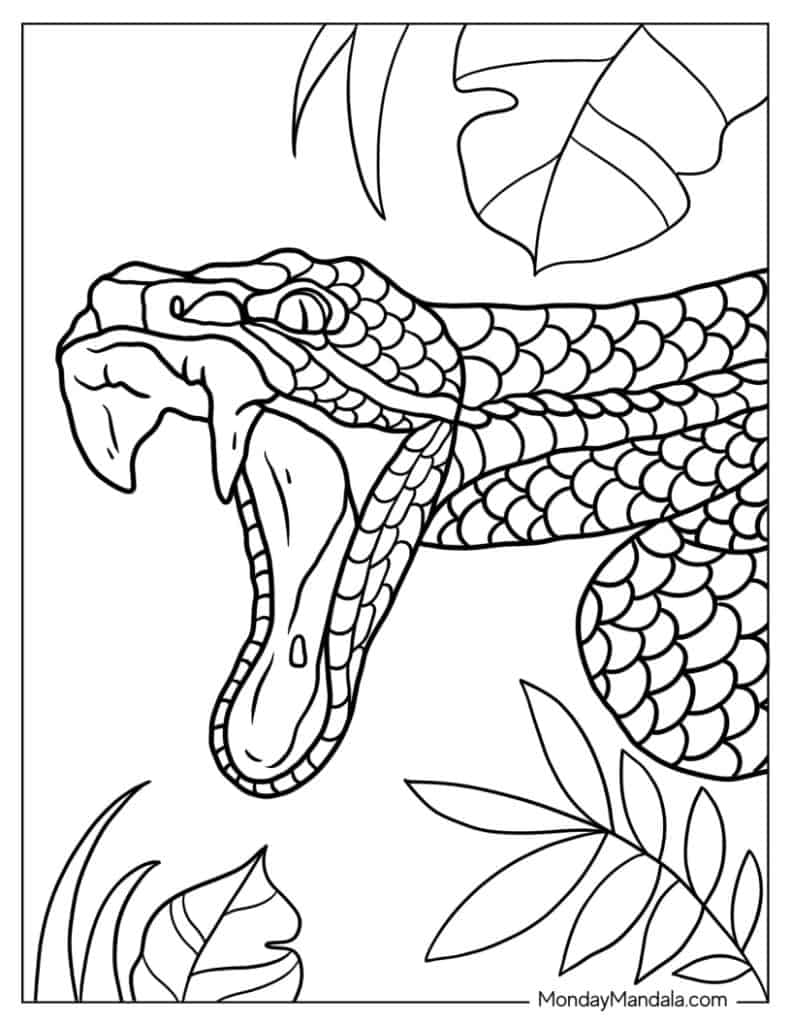 170+ Lizard Coloring Page Designs 161