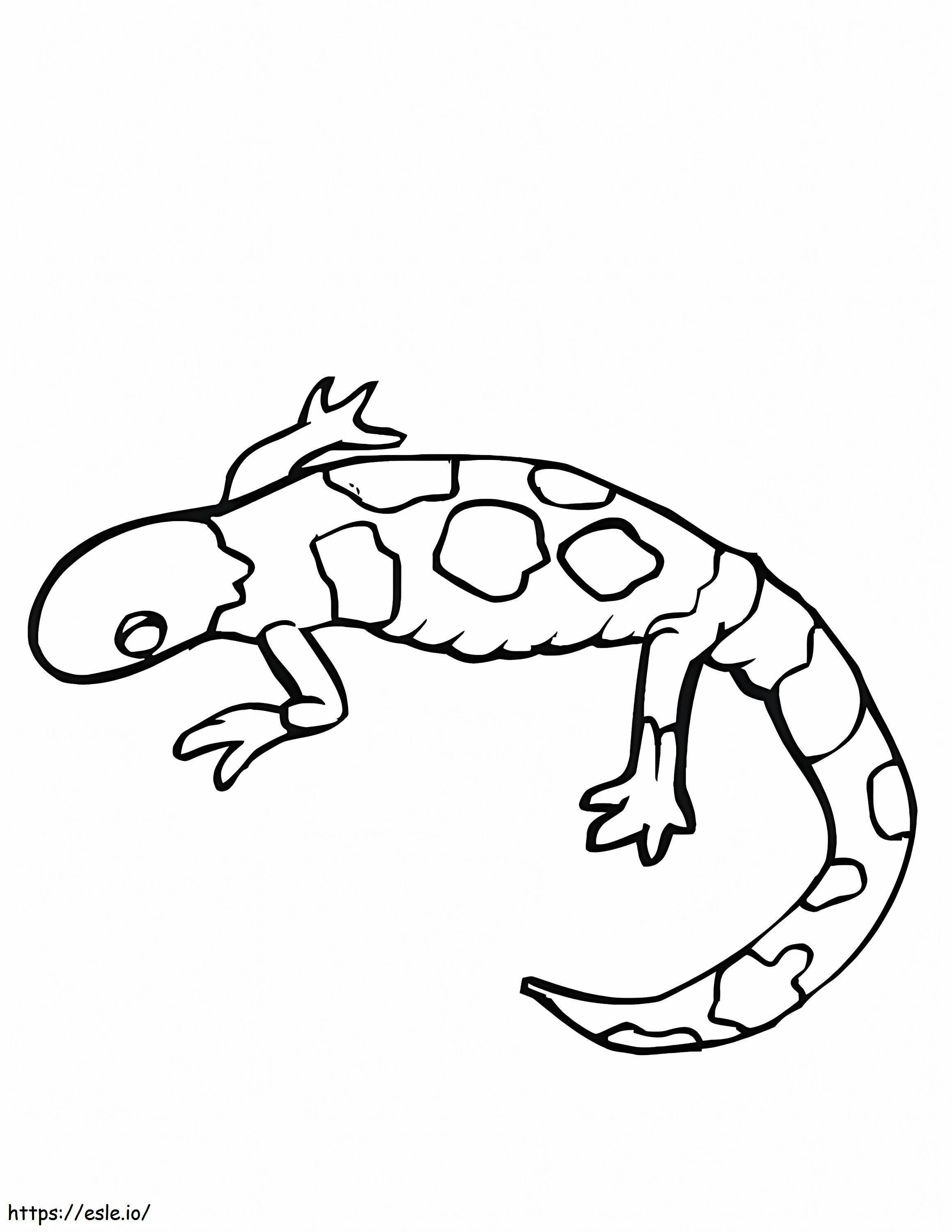 170+ Lizard Coloring Page Designs 171