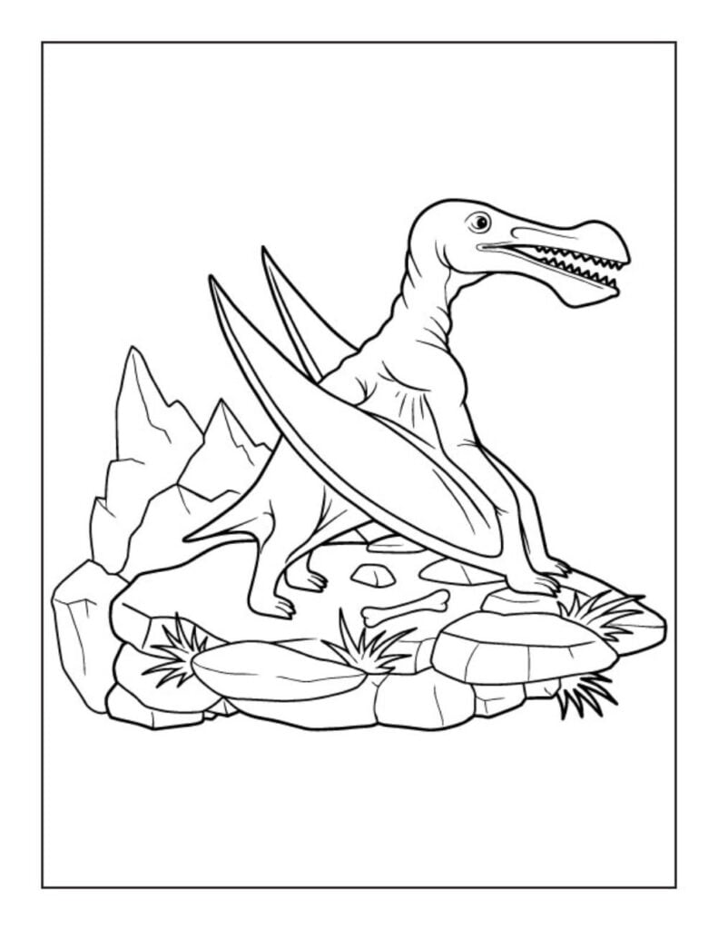 170+ Lizard Coloring Page Designs 179