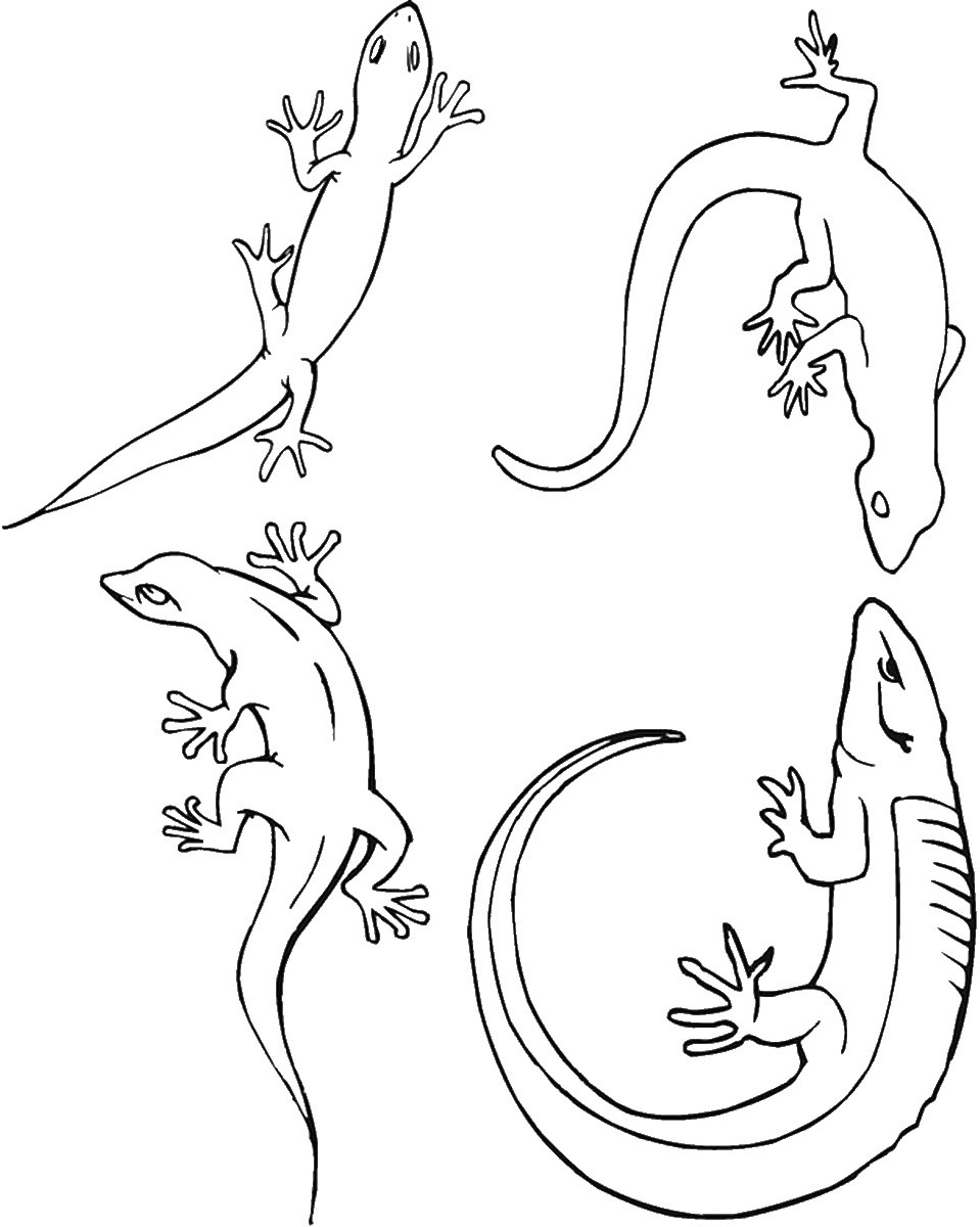 170+ Lizard Coloring Page Designs 18