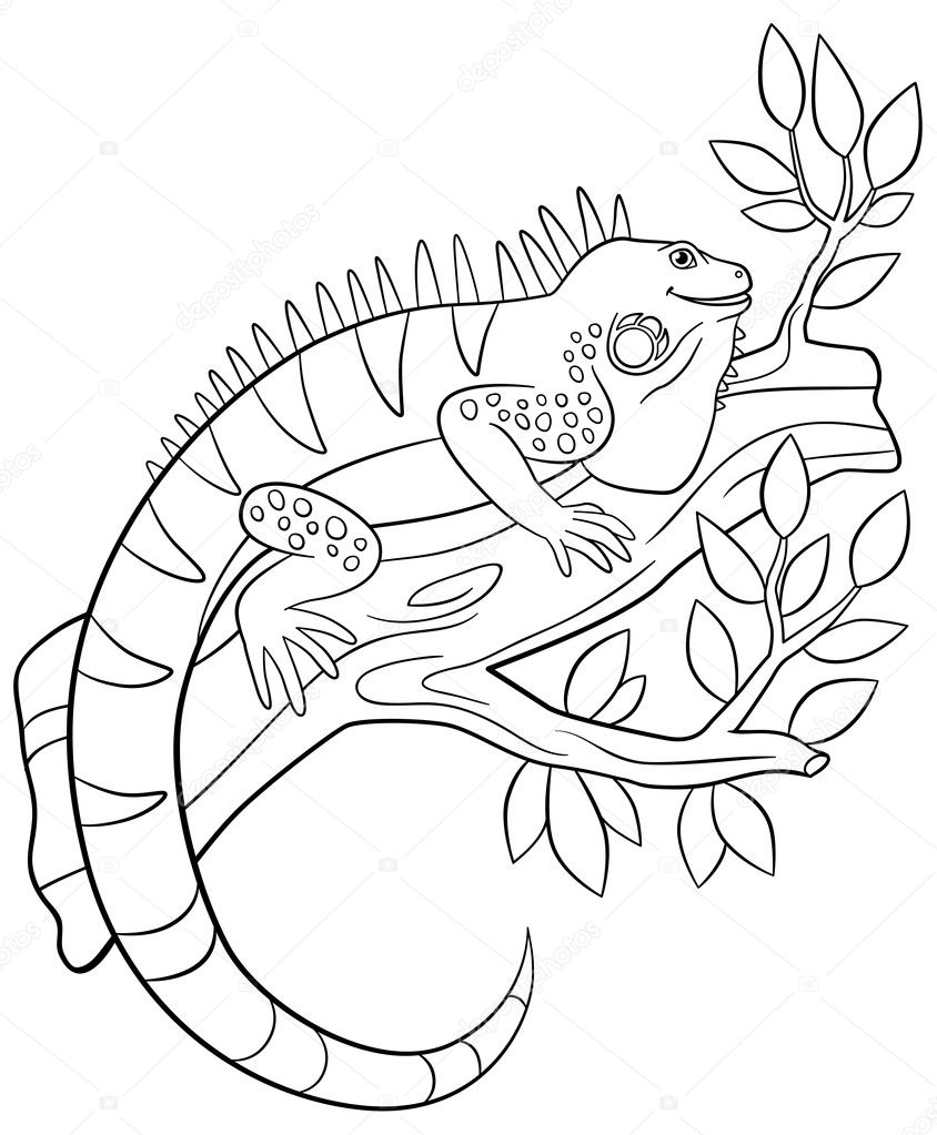 170+ Lizard Coloring Page Designs 20