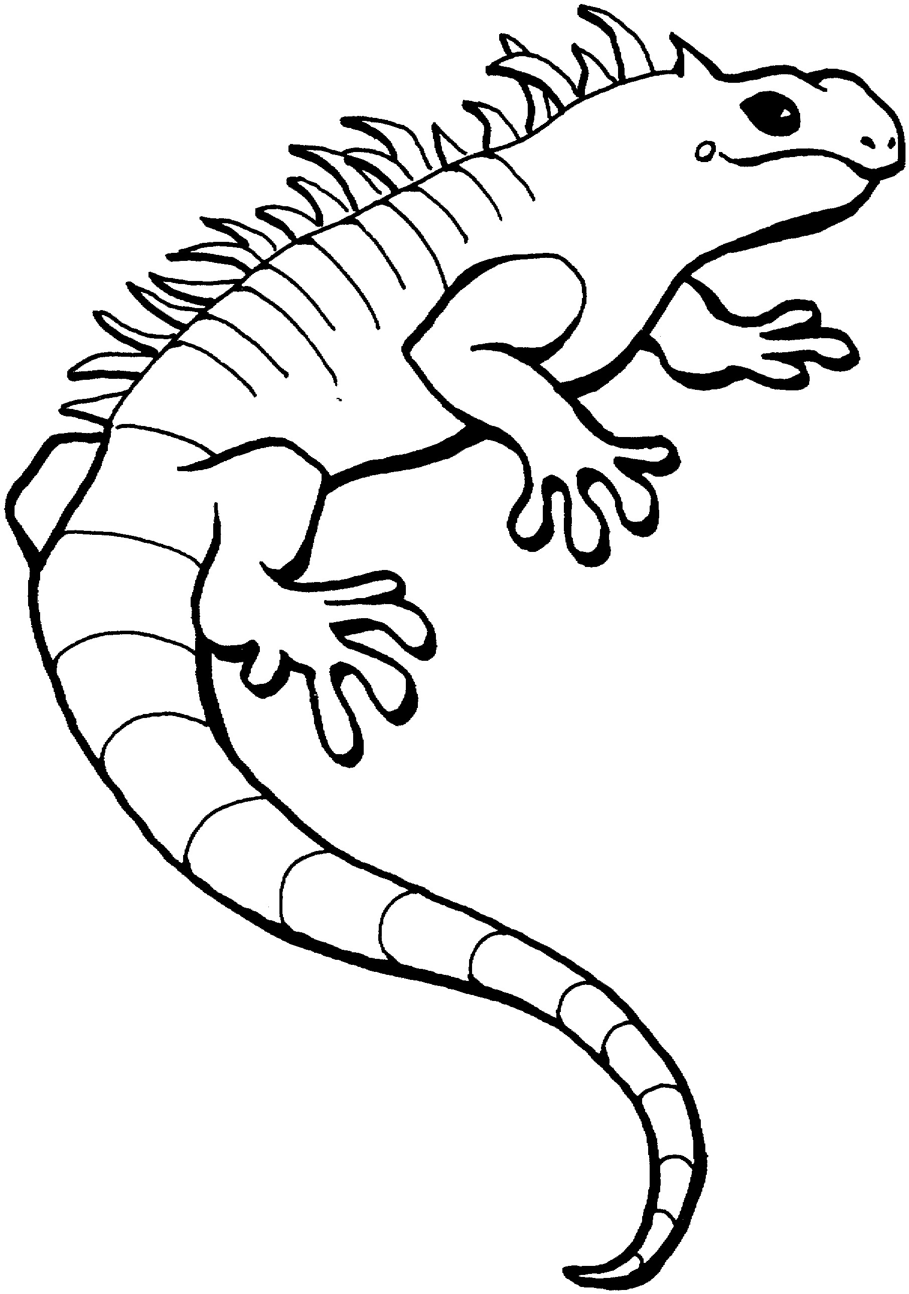 170+ Lizard Coloring Page Designs 27