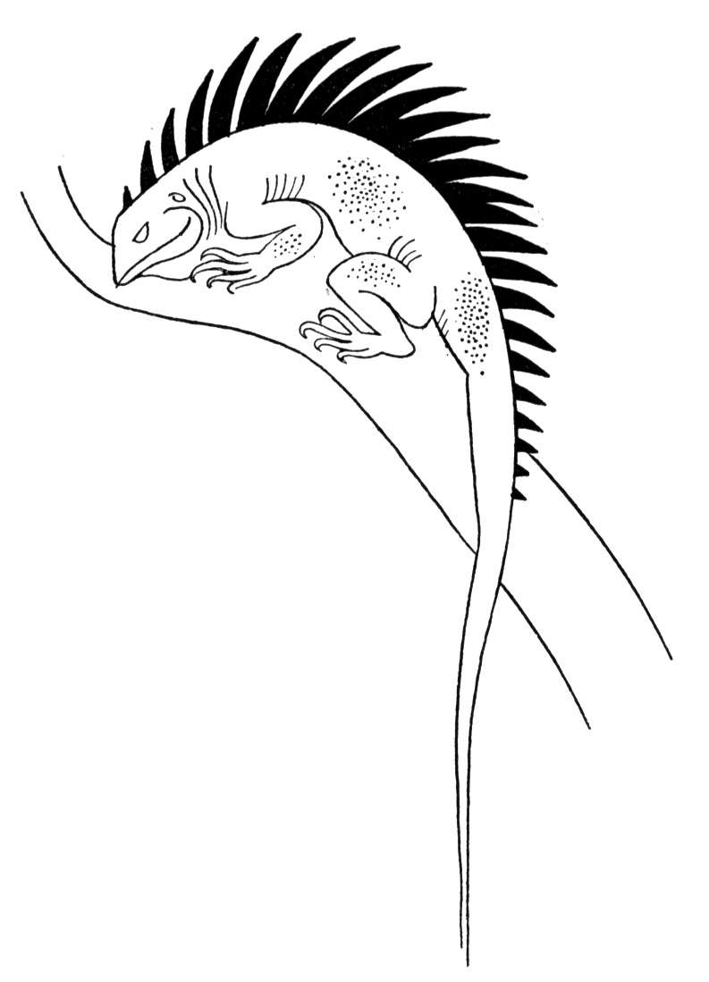 170+ Lizard Coloring Page Designs 28