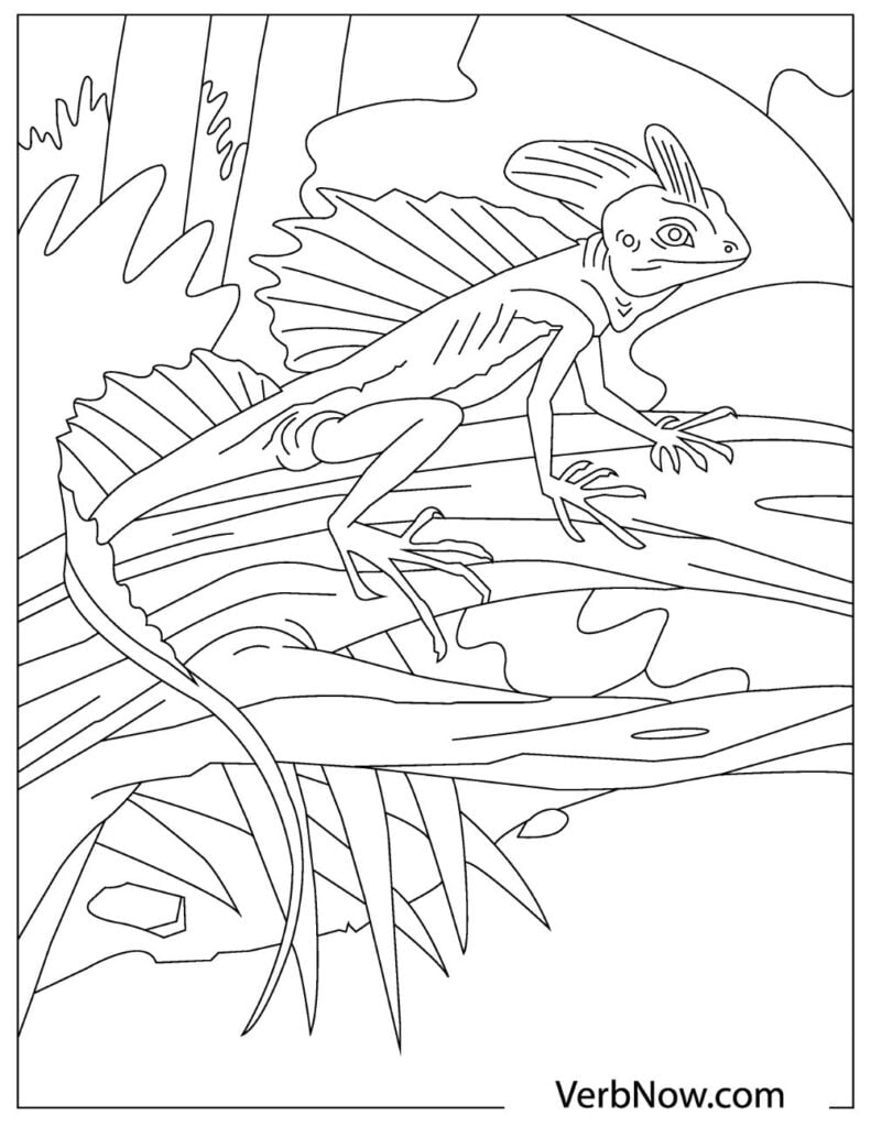 170+ Lizard Coloring Page Designs 32