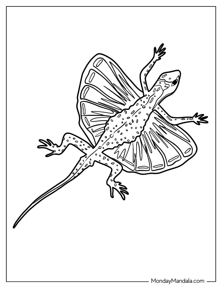 170+ Lizard Coloring Page Designs 34