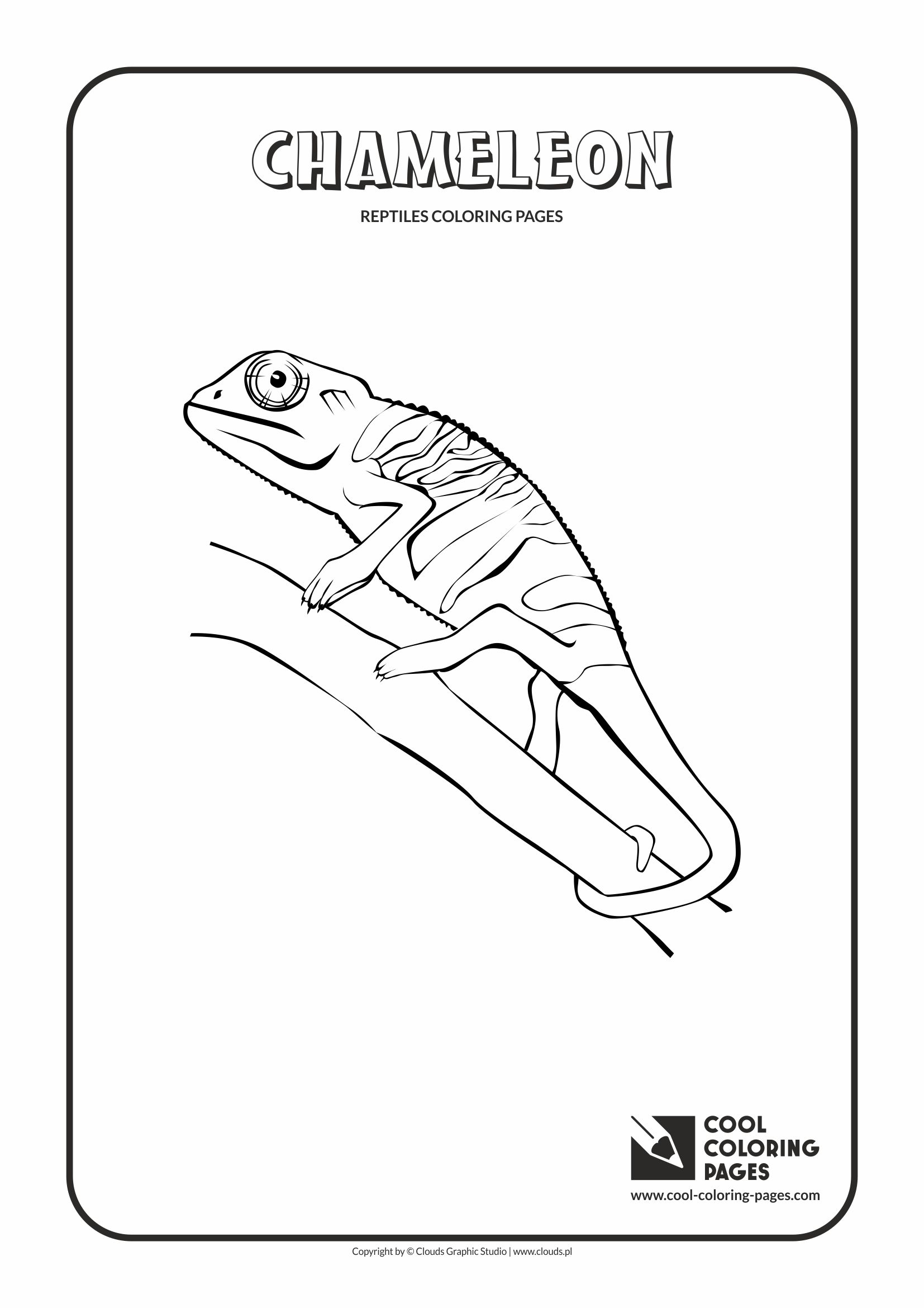 170+ Lizard Coloring Page Designs 4