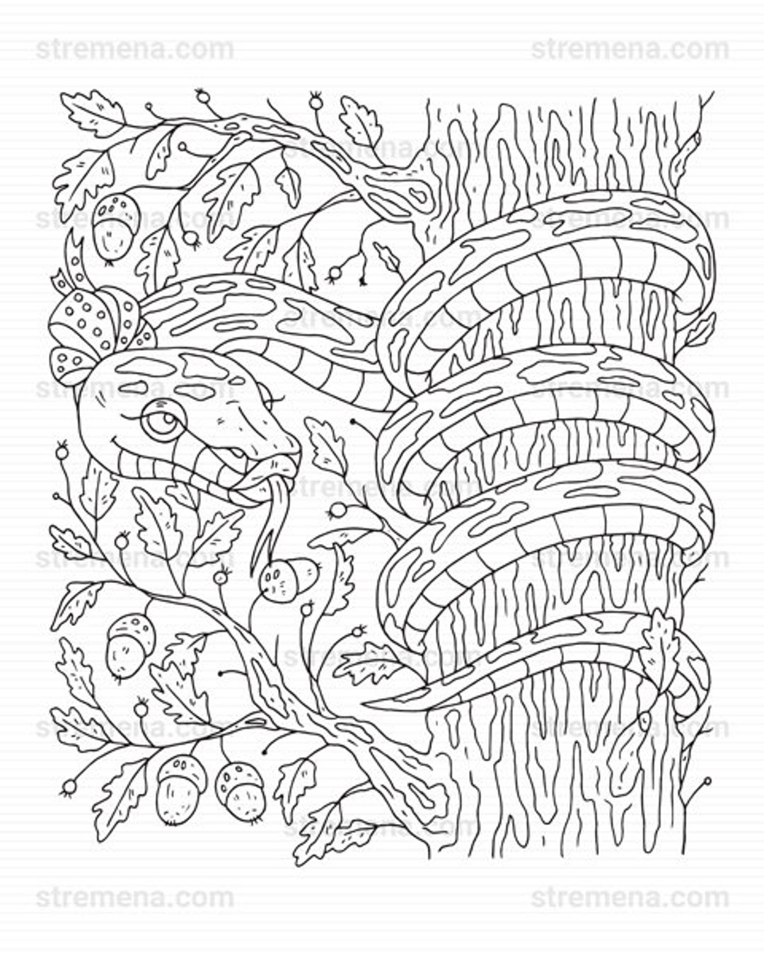 170+ Lizard Coloring Page Designs 42